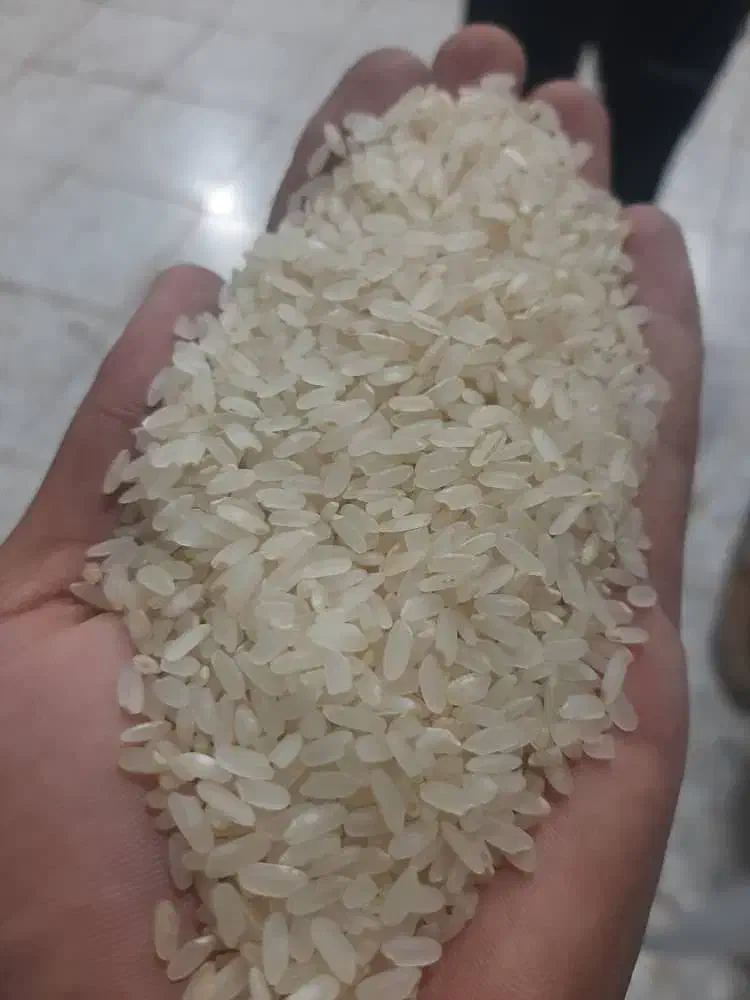 برنج کامفیروزی|خوردنی و آشامیدنی|کر, |دیوار