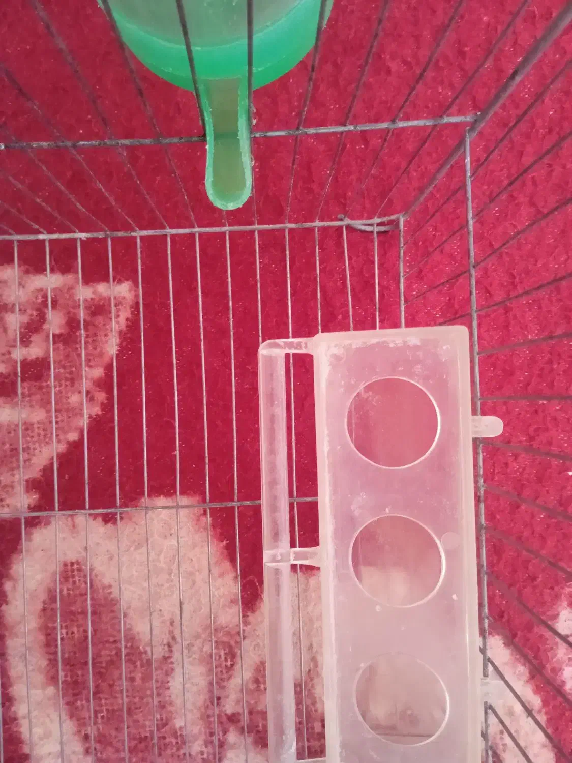 قفس|لوازم جانبی حیوانات|خرم‌آباد, |دیوار