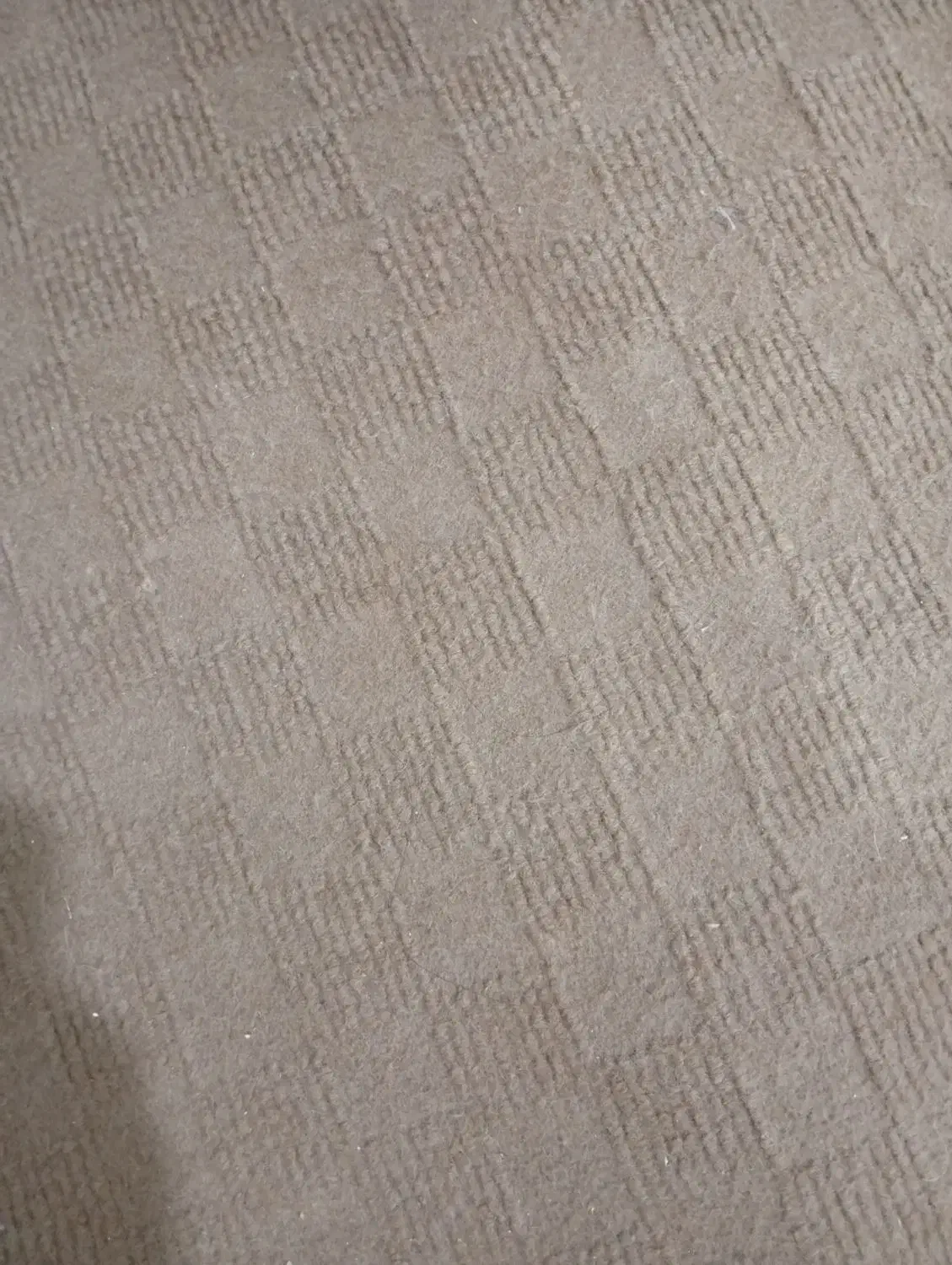 موکت ضخیم|موکت|ماکو, |دیوار