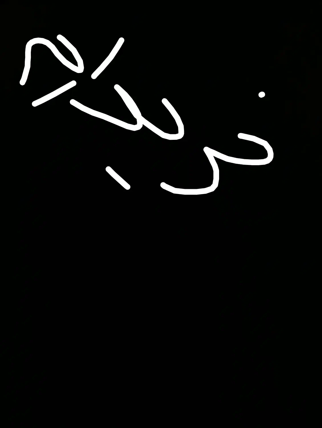 فرش 12متری و 6متری|فرش|بهار, |دیوار