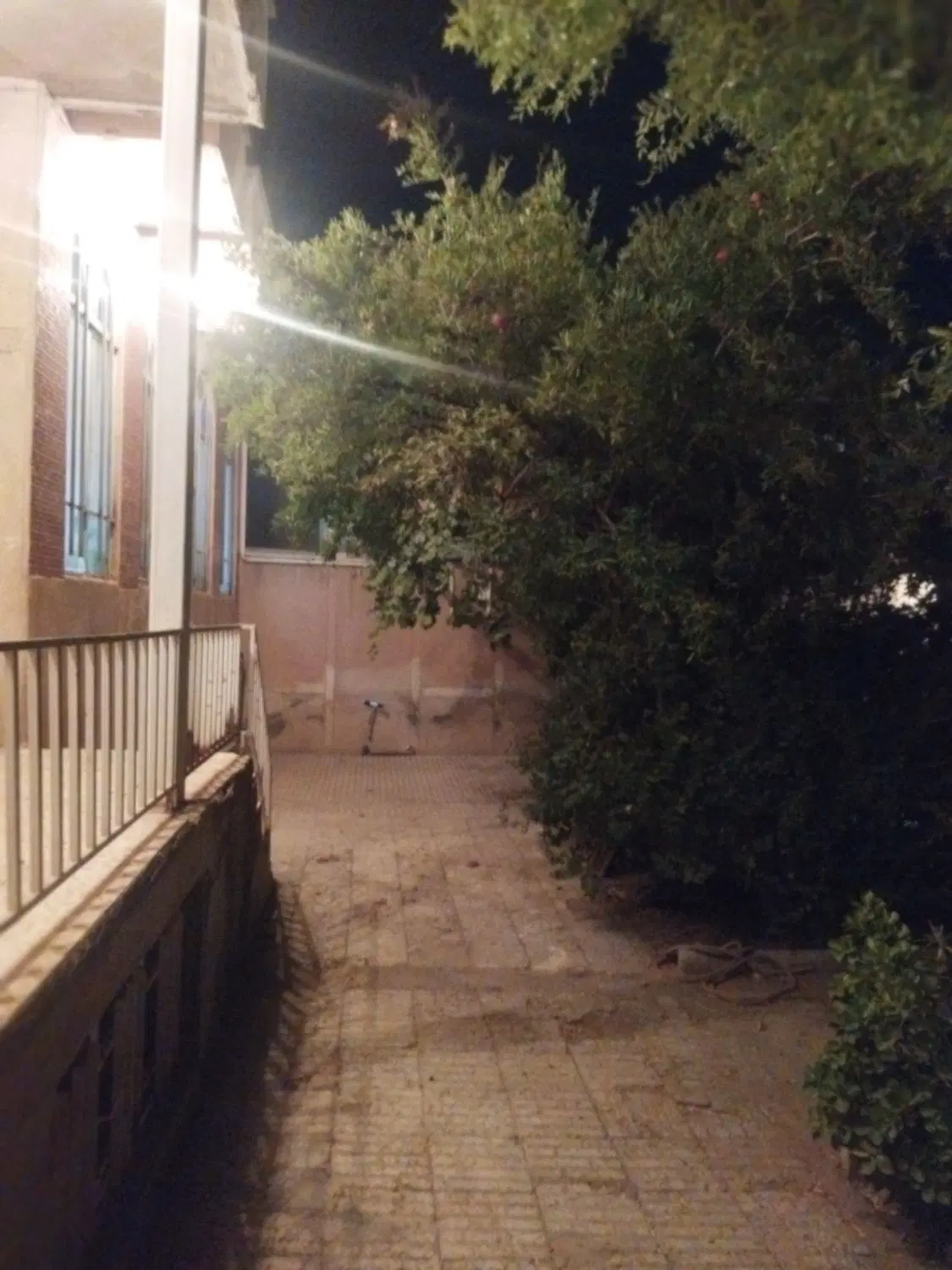 تصویر 11