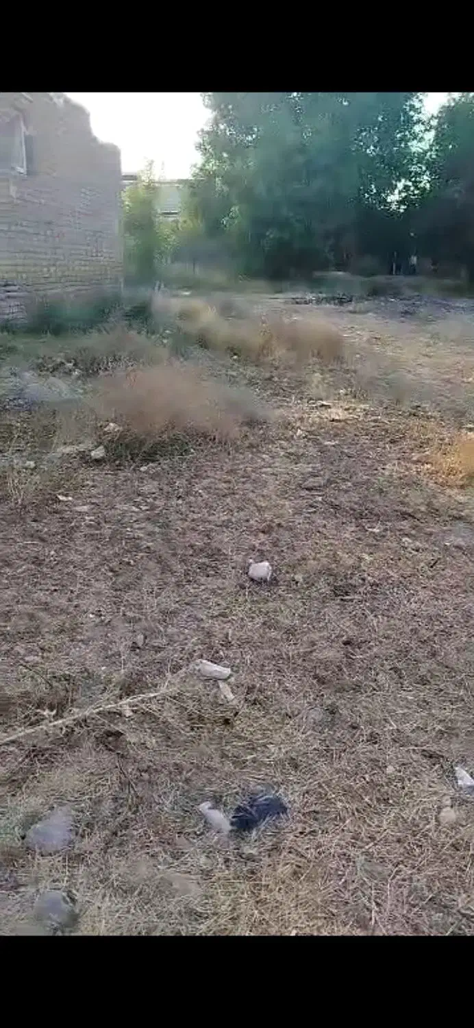 فروش فوری ۴۷۵ متر زمین در ابهر|فروش زمین و ملک کلنگی|صائین قلعه, |دیوار