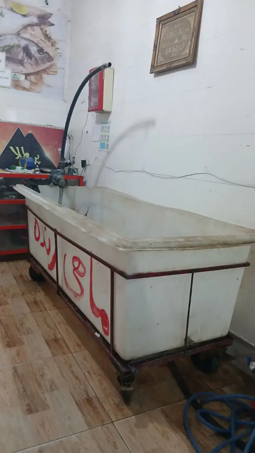 وان ماهی|ماهی|خرم‌آباد, |دیوار