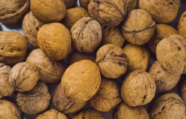 توت خشک و گردو درجه یک|خوردنی و آشامیدنی|قمصر, |دیوار