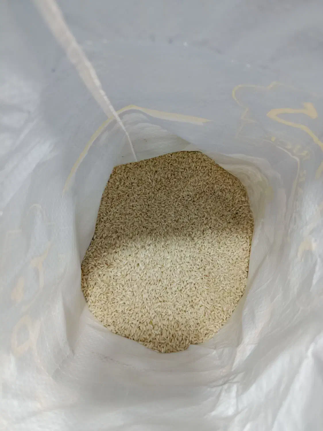 برنج محلی کوثر|عمده‌فروشی|ایذه, |دیوار