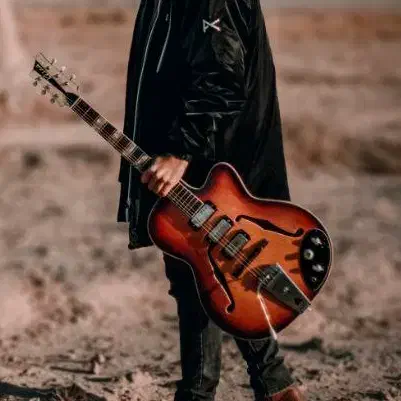 گیتار الکتریک کلکسیونی 1960|گیتار، بیس، امپلیفایر|تهران, سازمان برنامه جنوبی|دیوار