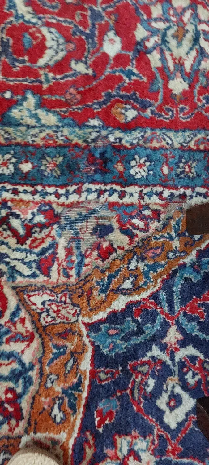 فروش فرش دستی|فرش|رشت, بلوار گیلان|دیوار