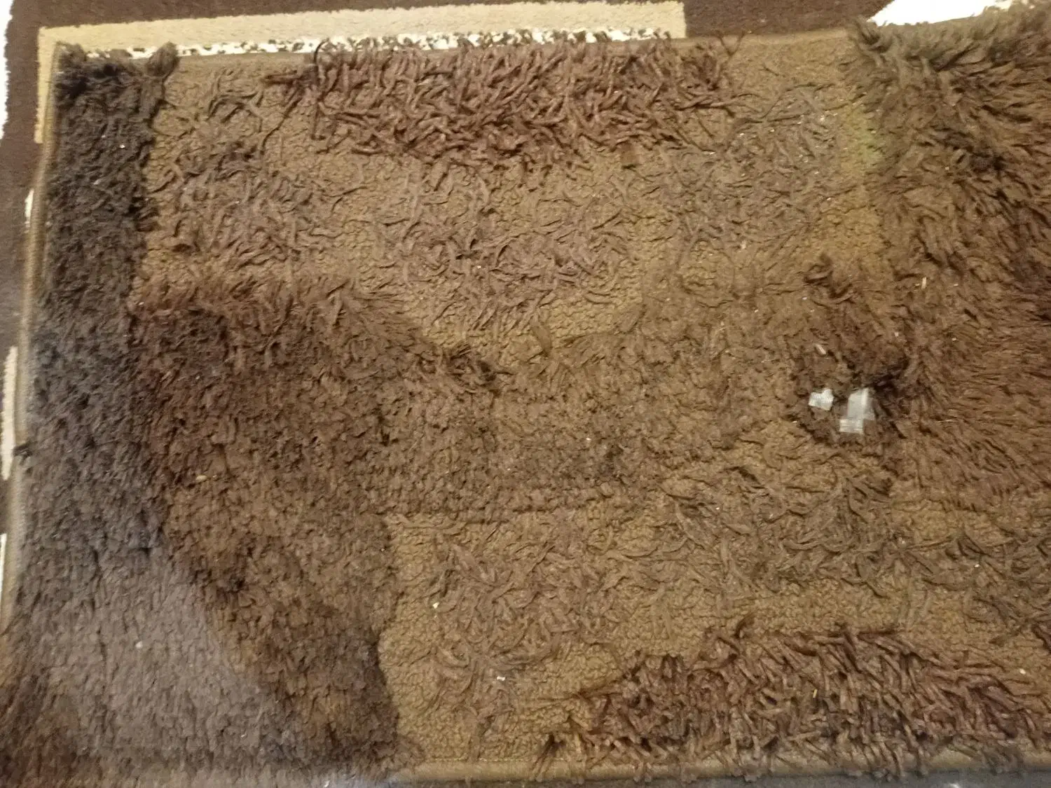 فرش  یک  ونیم  متری  همراه  دوتاپادری|فرش|کرج, باغستان|دیوار