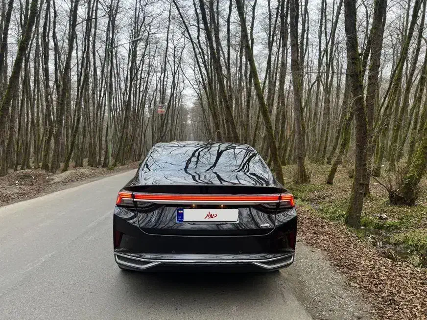 شاین مکس دانگ فانگ|خودرو سواری و وانت|رباطکریم, رباطکریم|دیوار