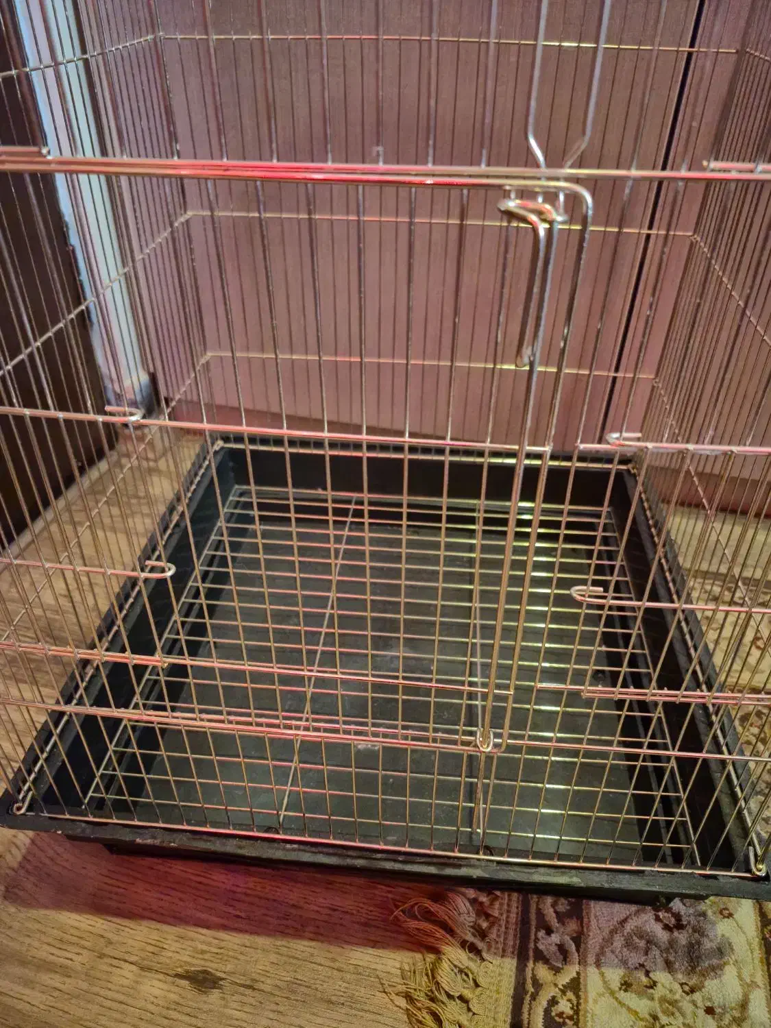 قفس بزرگ پرنده|لوازم جانبی حیوانات|اهواز, کیانپارس |دیوار