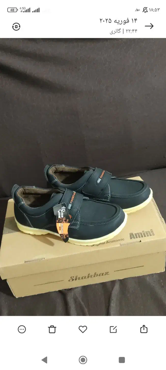 کفش پسرانه نو|کفش و لباس بچه|محمدیه-قزوین, |دیوار