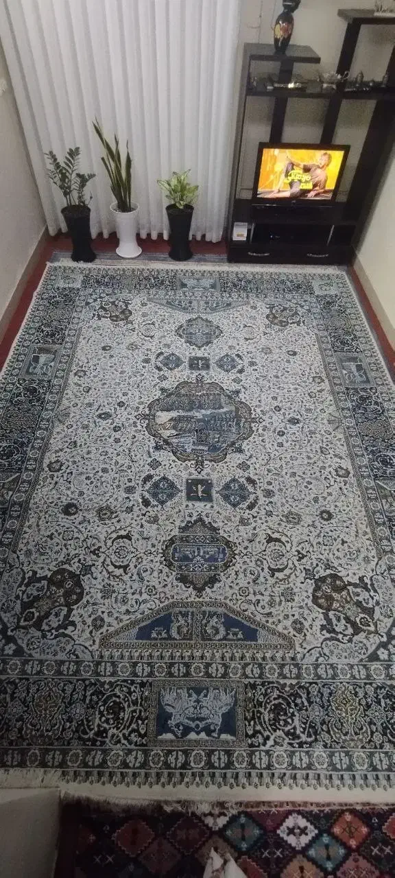 فرش ۱۲متری درحدنو سالم تخفیف دارد|فرش|ساری, |دیوار