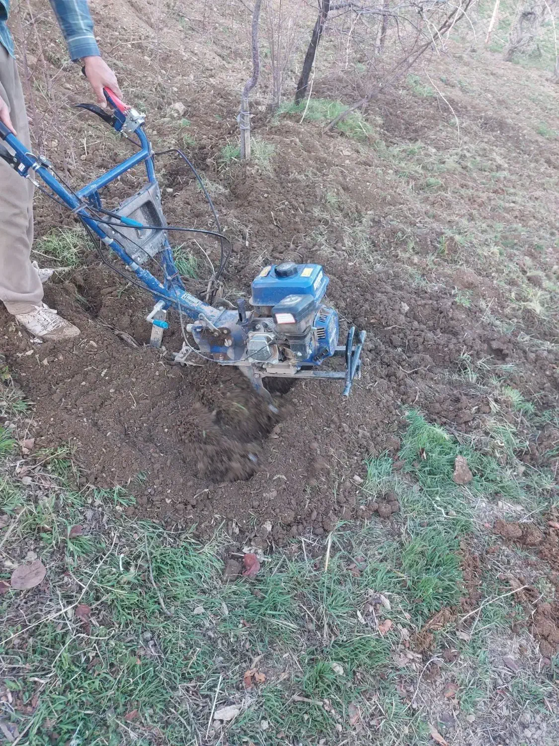 تیلر زنی وشخم زنی|خدمات باغبانی و درختکاری|دینور, |دیوار