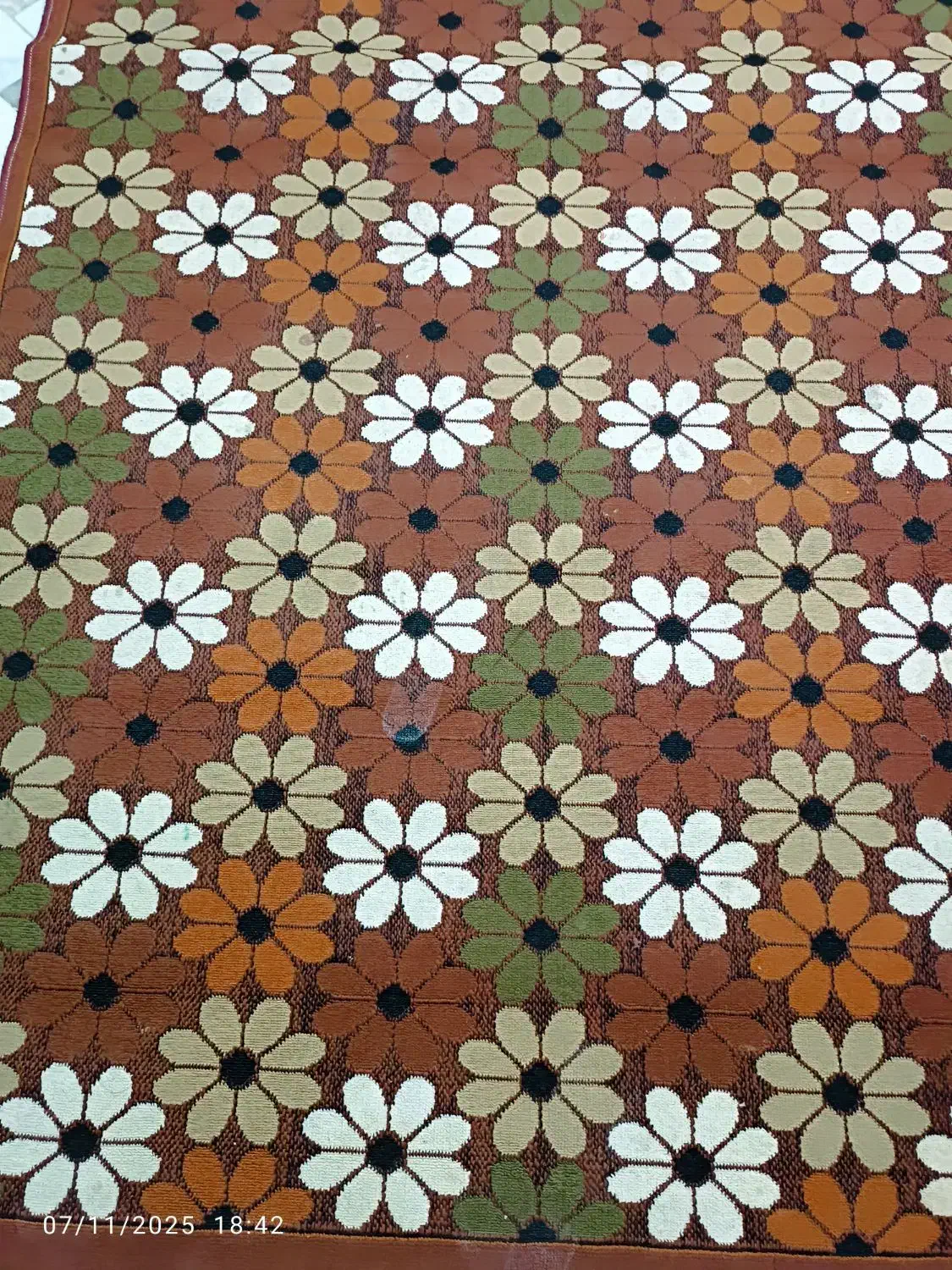 گلیم اتاق|گلیم، جاجیم، گبه|زاهدان, |دیوار