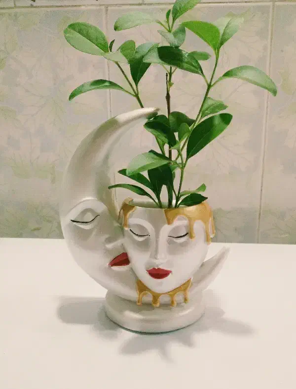 دکوری هدیه روز زن،روزمادر|صنایع دستی و سایر لوازم تزئینی|بندر ماهشهر, |دیوار