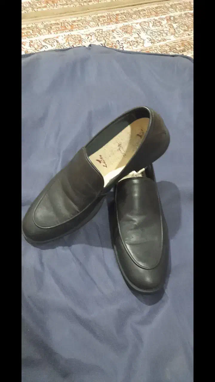 کت وشلوروکفش دانشجوی|لباس|سنندج, |دیوار