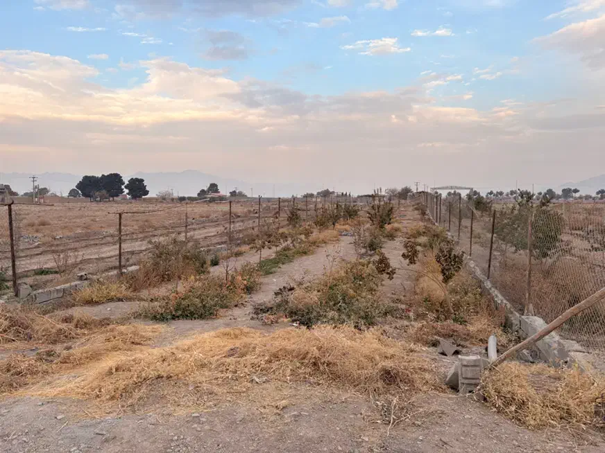 باغ روستای اراضی،باغملک|فروش خانه و ویلا|مبارکه, |دیوار