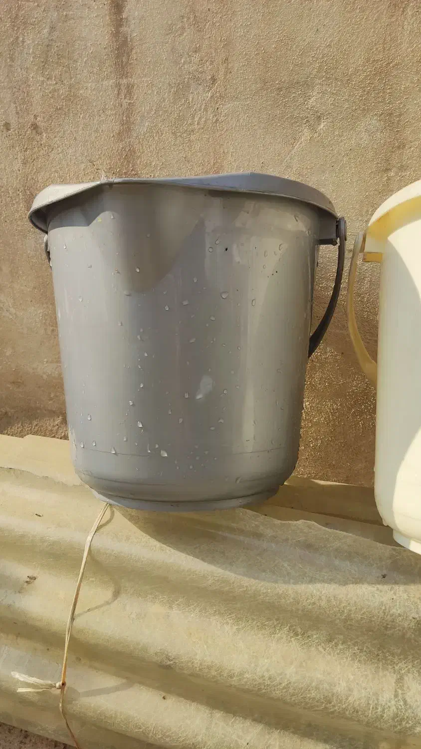 سطل مقاوم پلاستیکی|ظروف نگهدارنده، پلاستیکی، یکبارمصرف|ری, دیلمان|دیوار