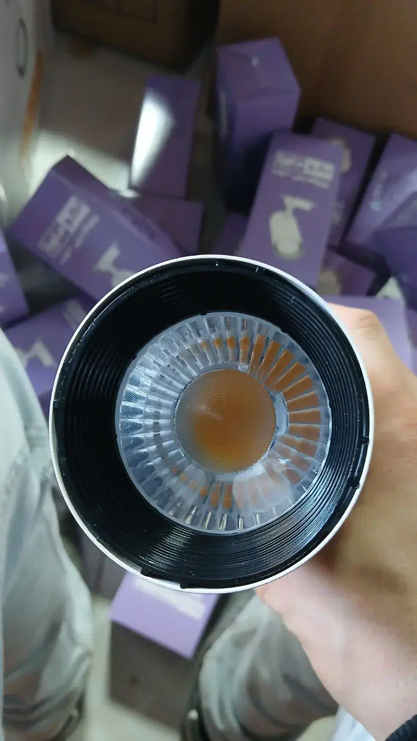 پرژکتور و لامپ حبابی|لامپ و چراغ|شاهرود, |دیوار