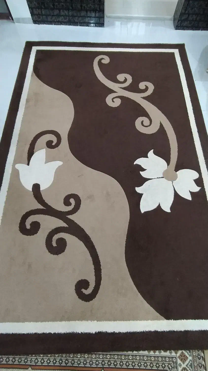 فرش شش متری|فرش|رامسر, |دیوار