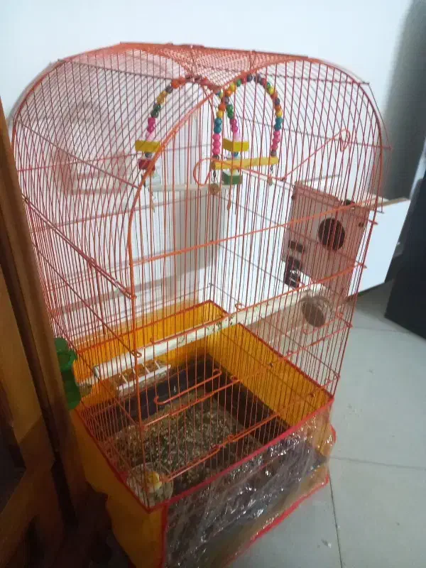 قفس|لوازم جانبی حیوانات|نیشابور, ناسیونال|دیوار