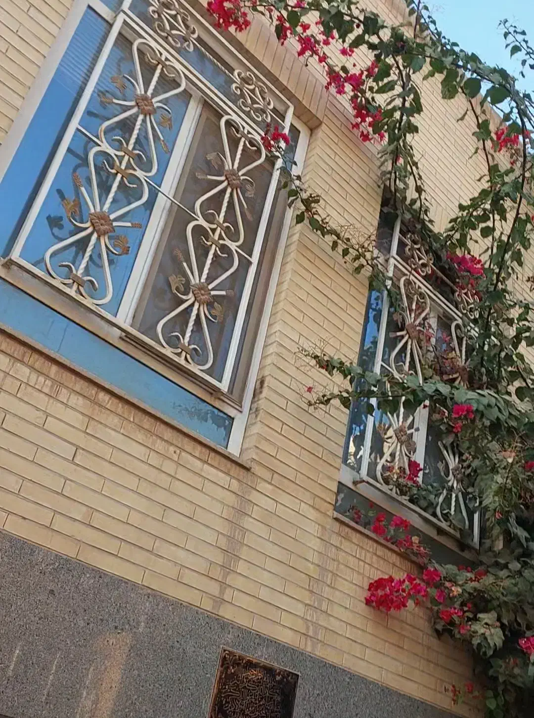 درب و پنجره|مصالح و تجهیزات ساختمان|یزد, |دیوار