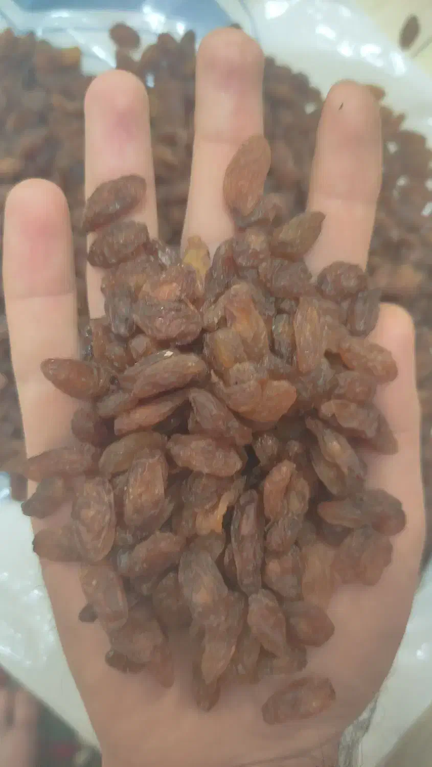 کشمش درشت آفتابی|خوردنی و آشامیدنی|مشهد, منزل آباد|دیوار