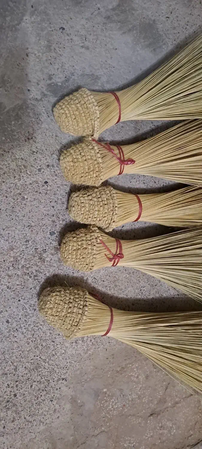 جارو|جاروبرقی، جارو شارژی، بخارشو|هامون, |دیوار