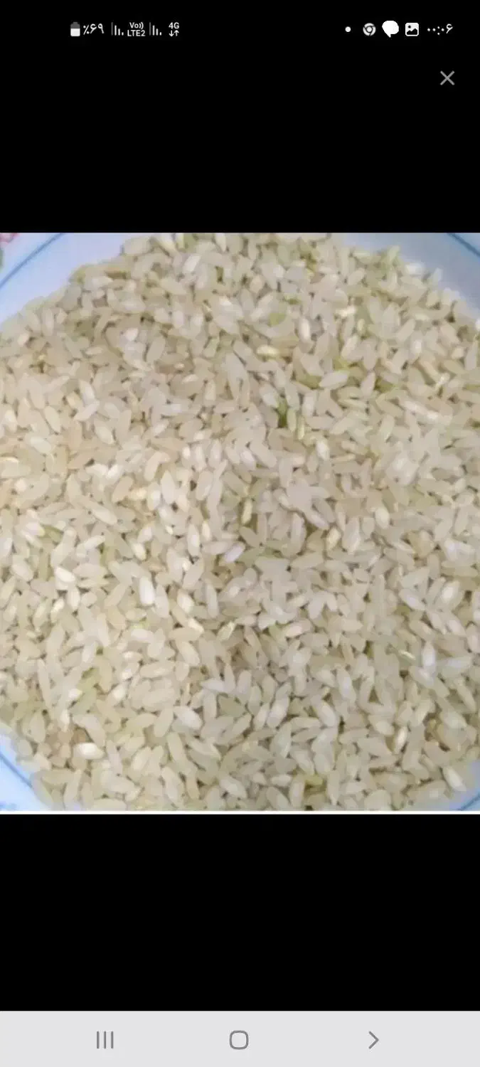 برنج چمپا لری|خوردنی و آشامیدنی|بروجن, |دیوار