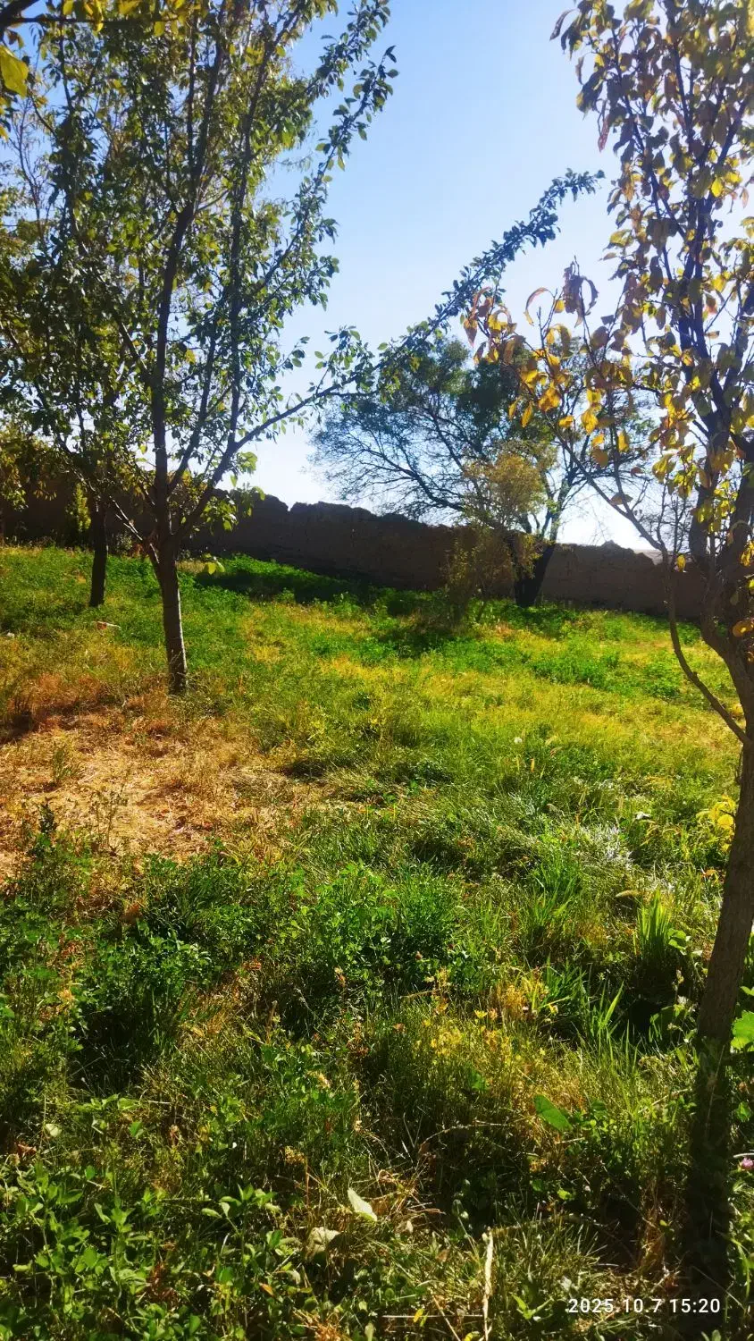 یک کیف پول گمشده|اشیا|خسروشاه, |دیوار