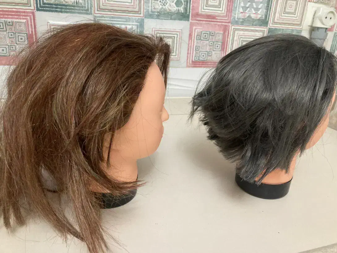 کله مانکن|آرایشگاه و سالن‌های زیبایی|اردبیل, |دیوار