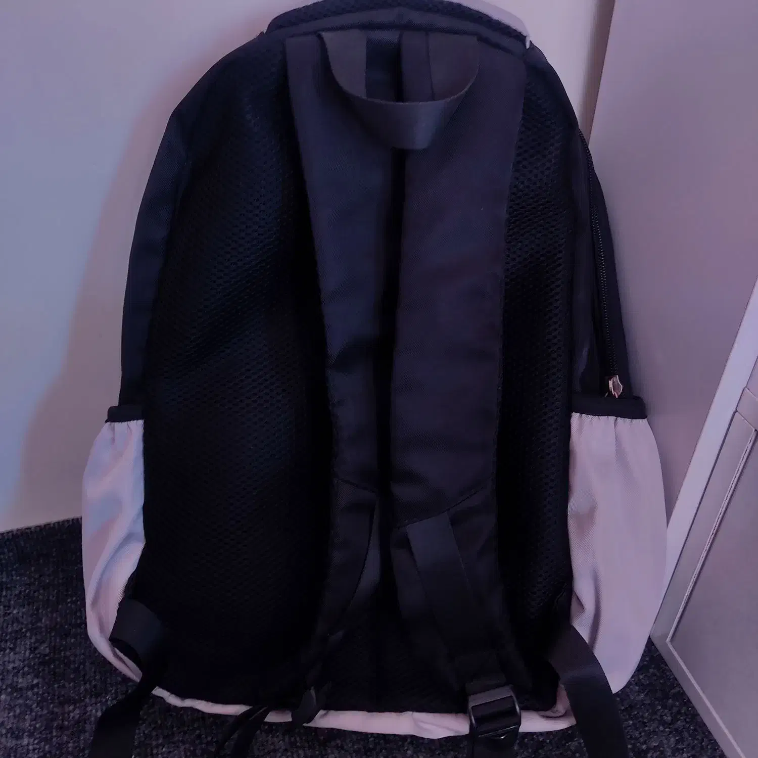 کوله پشتی|کیف، کفش، کمربند|تبریز, |دیوار