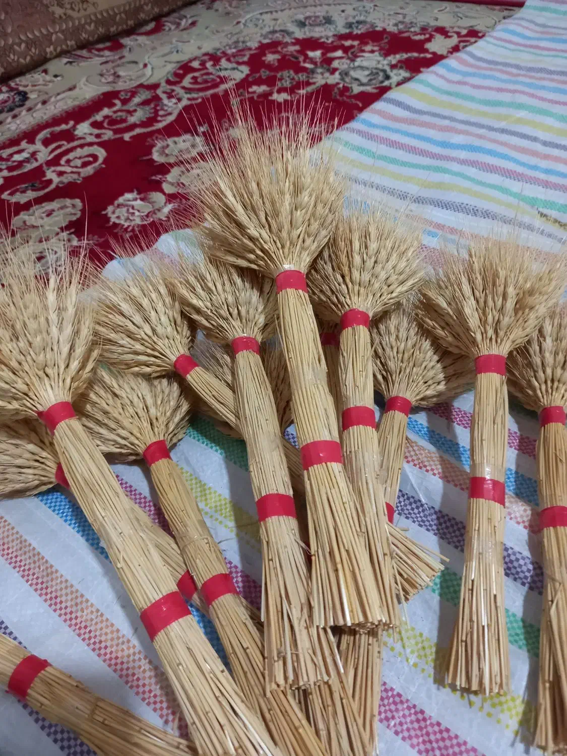 گل گندم|گل و گیاه طبیعی|ملارد, |دیوار