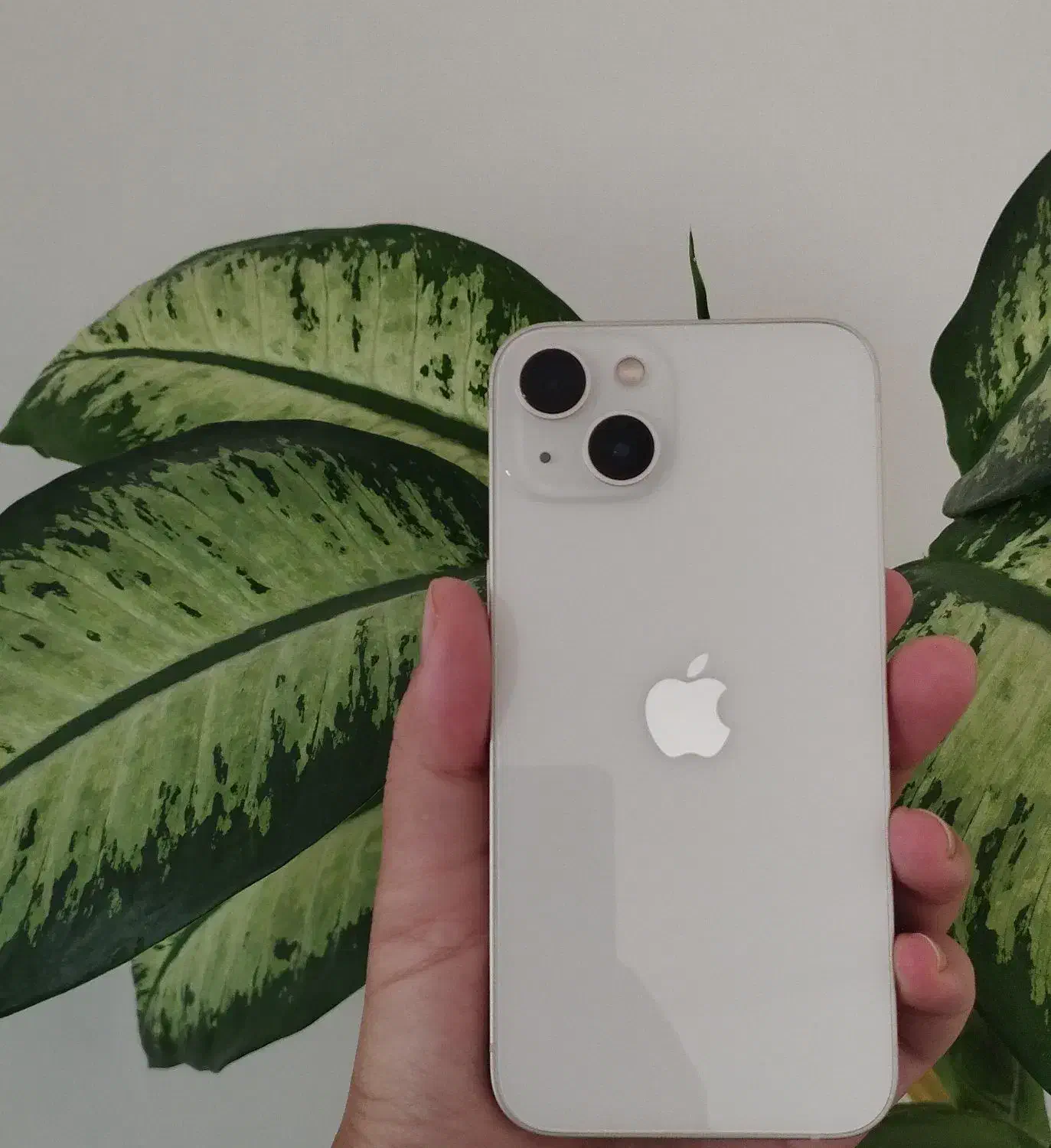 آیفون ۱۳|موبایل|ایلام, |دیوار