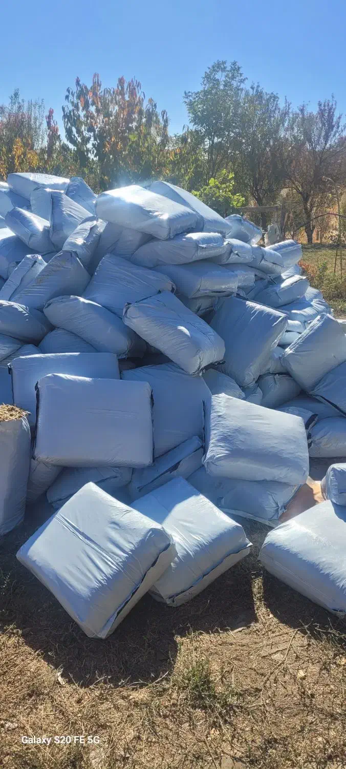 علوفه ذرت|حیوانات مزرعه|سردشت, |دیوار