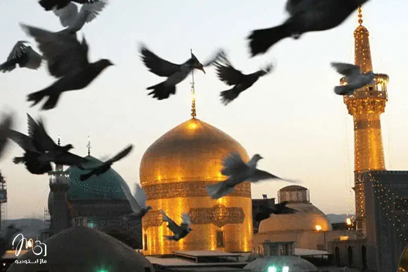 پیش فروش تور مشهدبا قطار|تور و چارتر|شیراز, قصرالدشت|دیوار