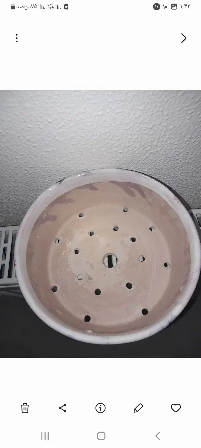 گلدان سفال|گل و گیاه طبیعی|شاهین‌شهر, شهرک گلدیس|دیوار