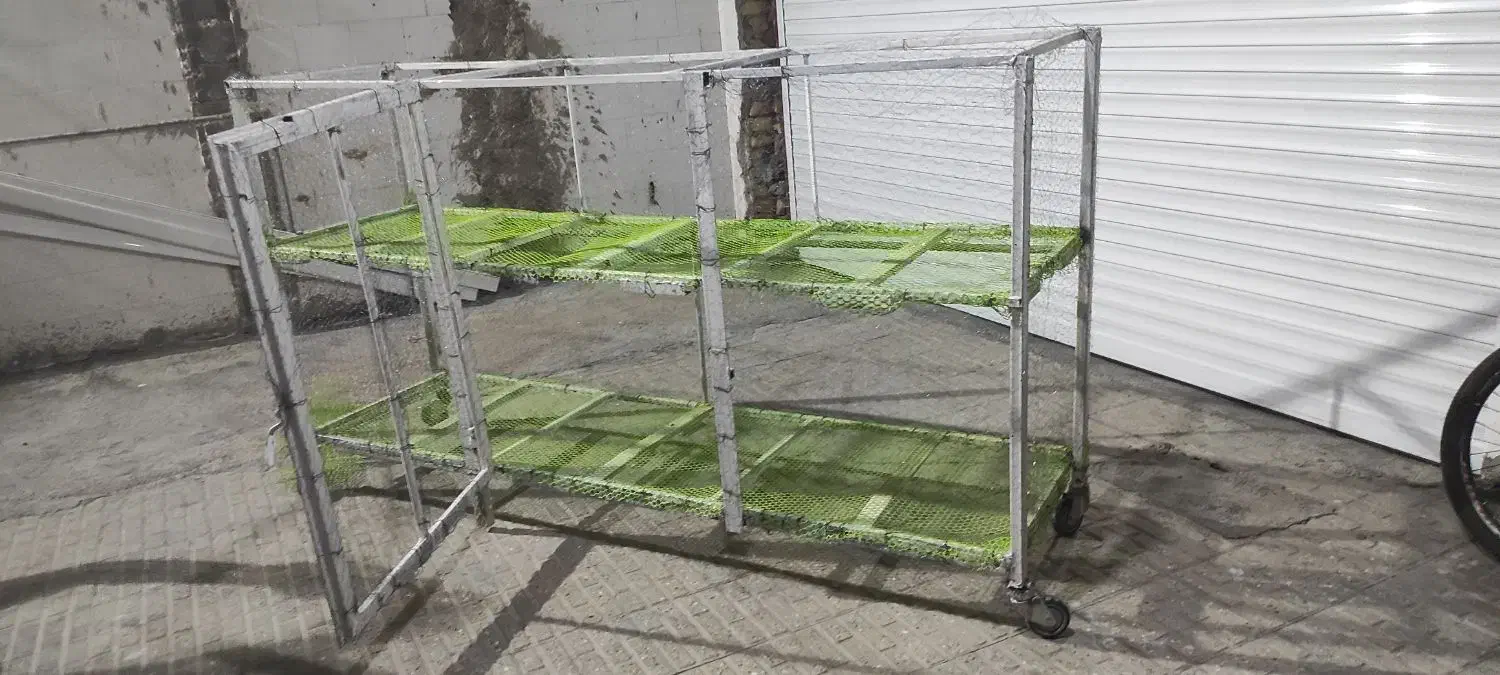 قفس دوطبقه چرخدار|پرنده|ایلام, |دیوار