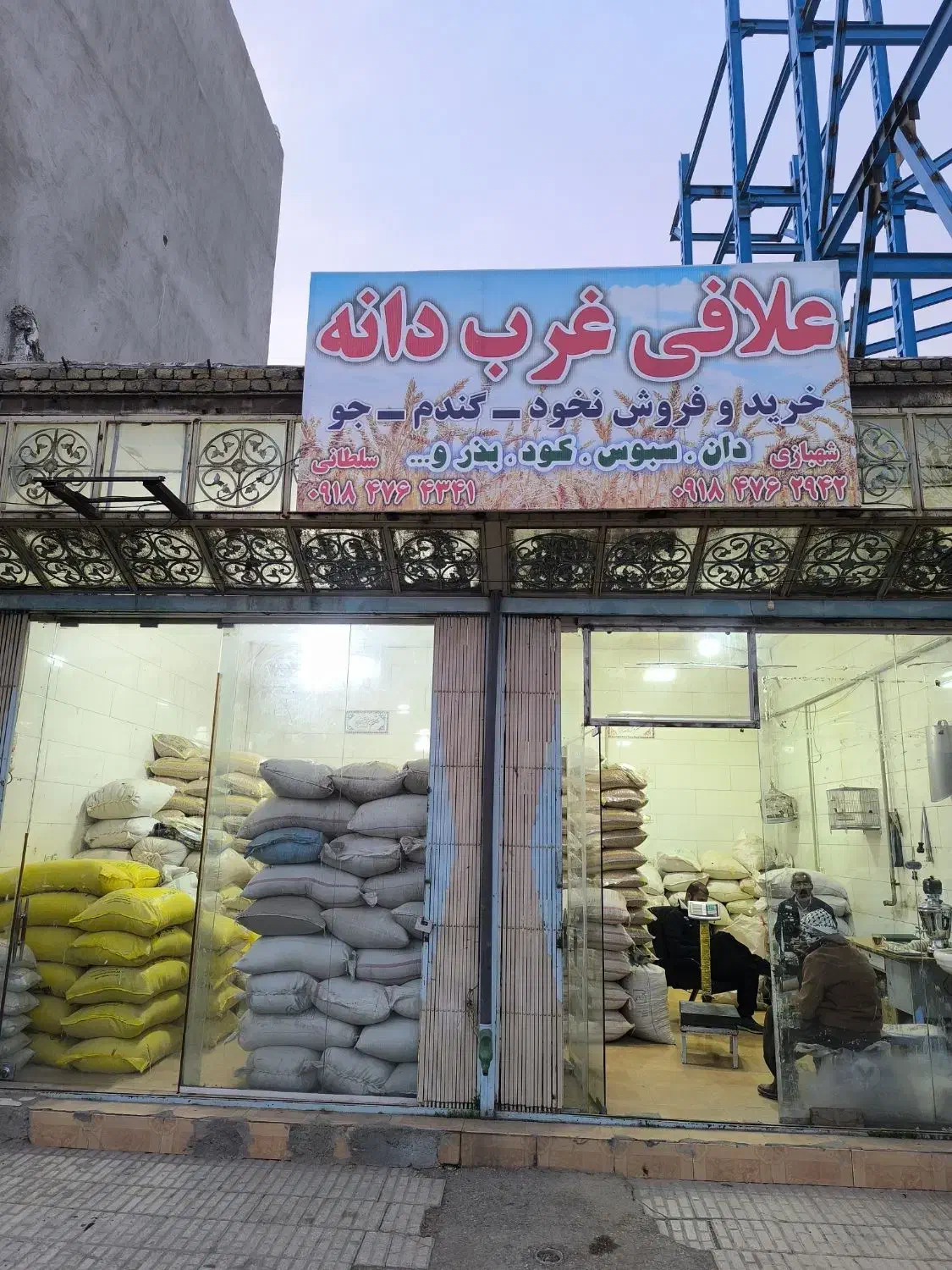 نخود بذری|عمدهفروشی|روانسر, |دیوار