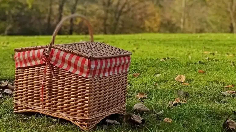 برنج و چای و فندق گیلان زمین|خوردنی و آشامیدنی|تهران, فرودگاه مهرآباد|دیوار
