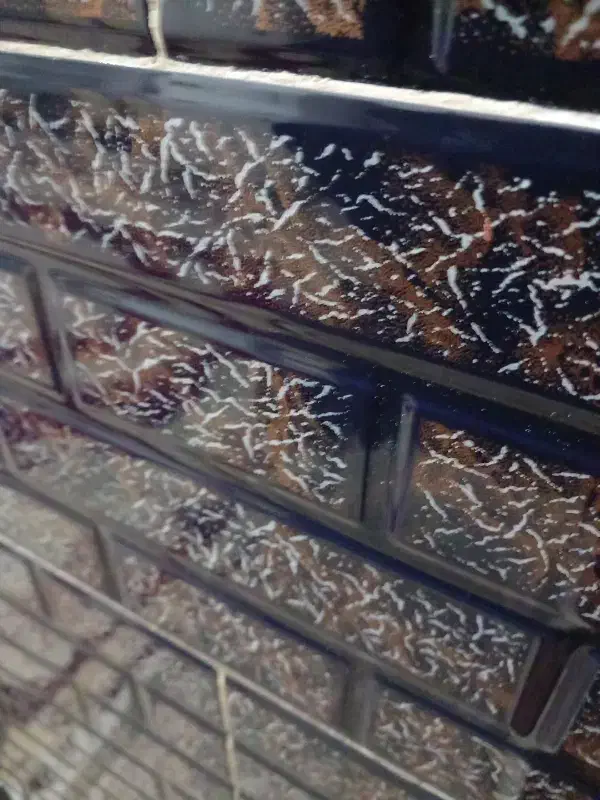 ساختمانی|خدمات پیشه و مهارت|آبیک, |دیوار