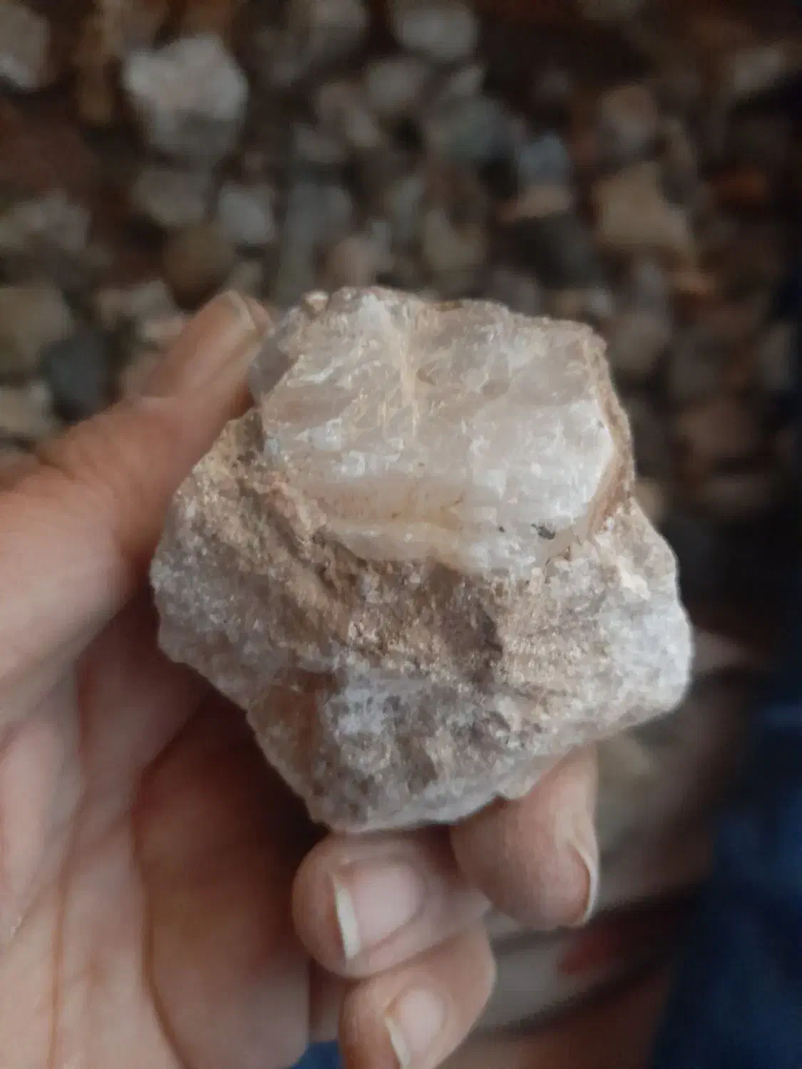 بهترین سنگهای نایاب|کلکسیون اشیاء عتیقه|اهر, |دیوار