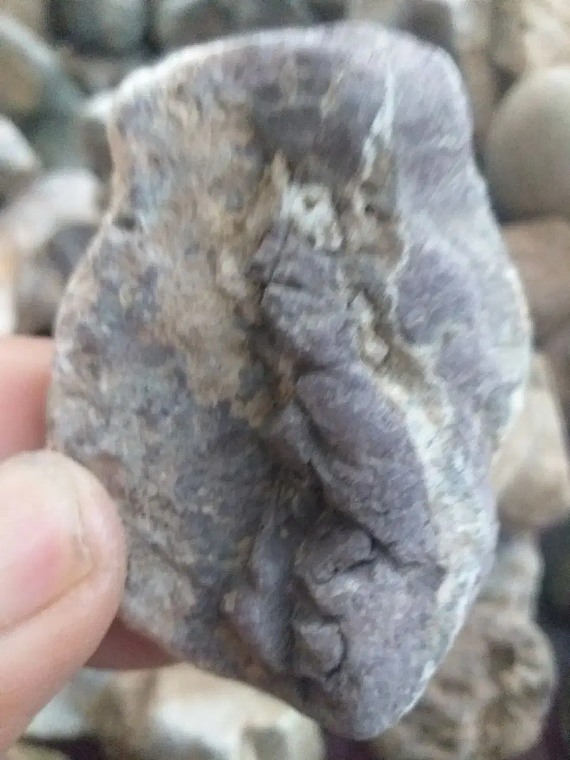 سنگ بشم و.... قدیمی وباستانی|کلکسیون اشیاء عتیقه|کرمان, |دیوار