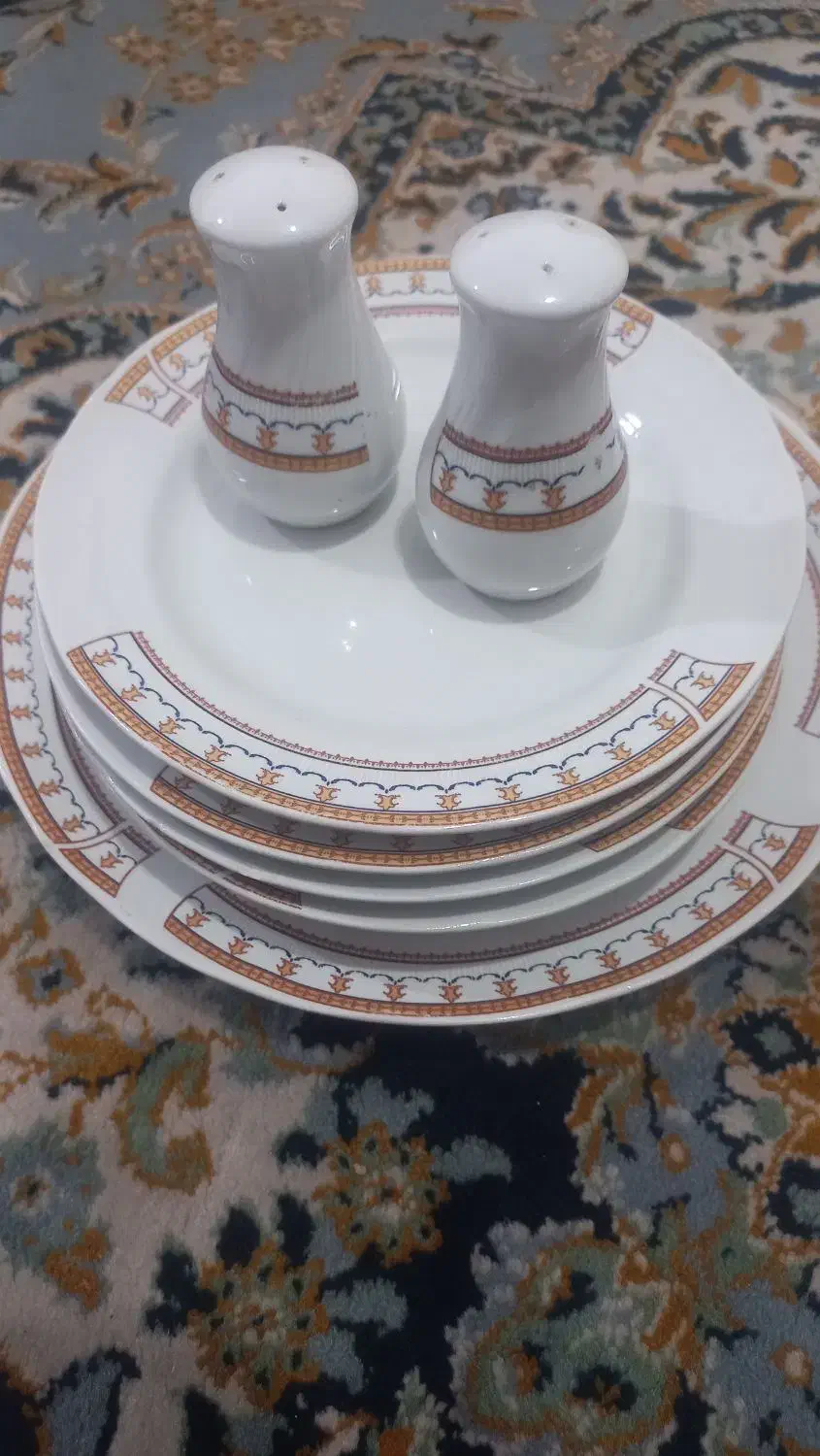 ظرف چینی|ظروف سرو و پذیرایی|خرم‌آباد, |دیوار