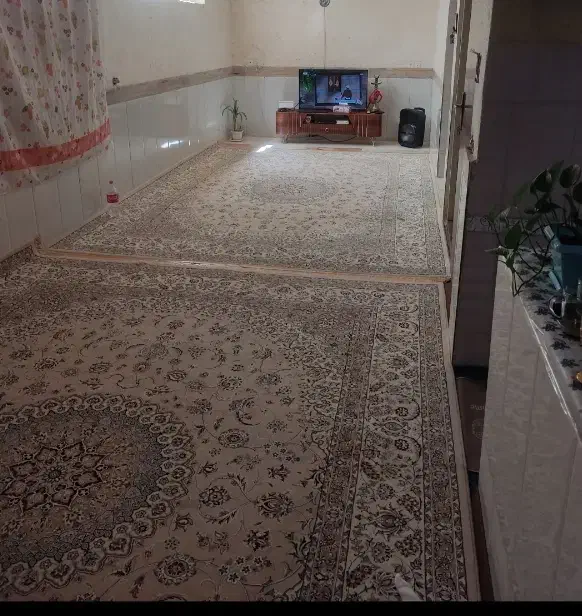 فرش در حدنو|فرش|یزد, |دیوار