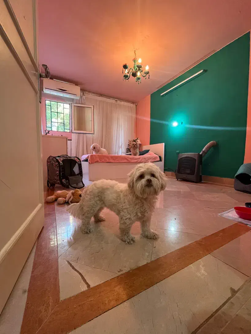 پانسیون خانگی|خدمات پیشه و مهارت|قم, دورشهر|دیوار