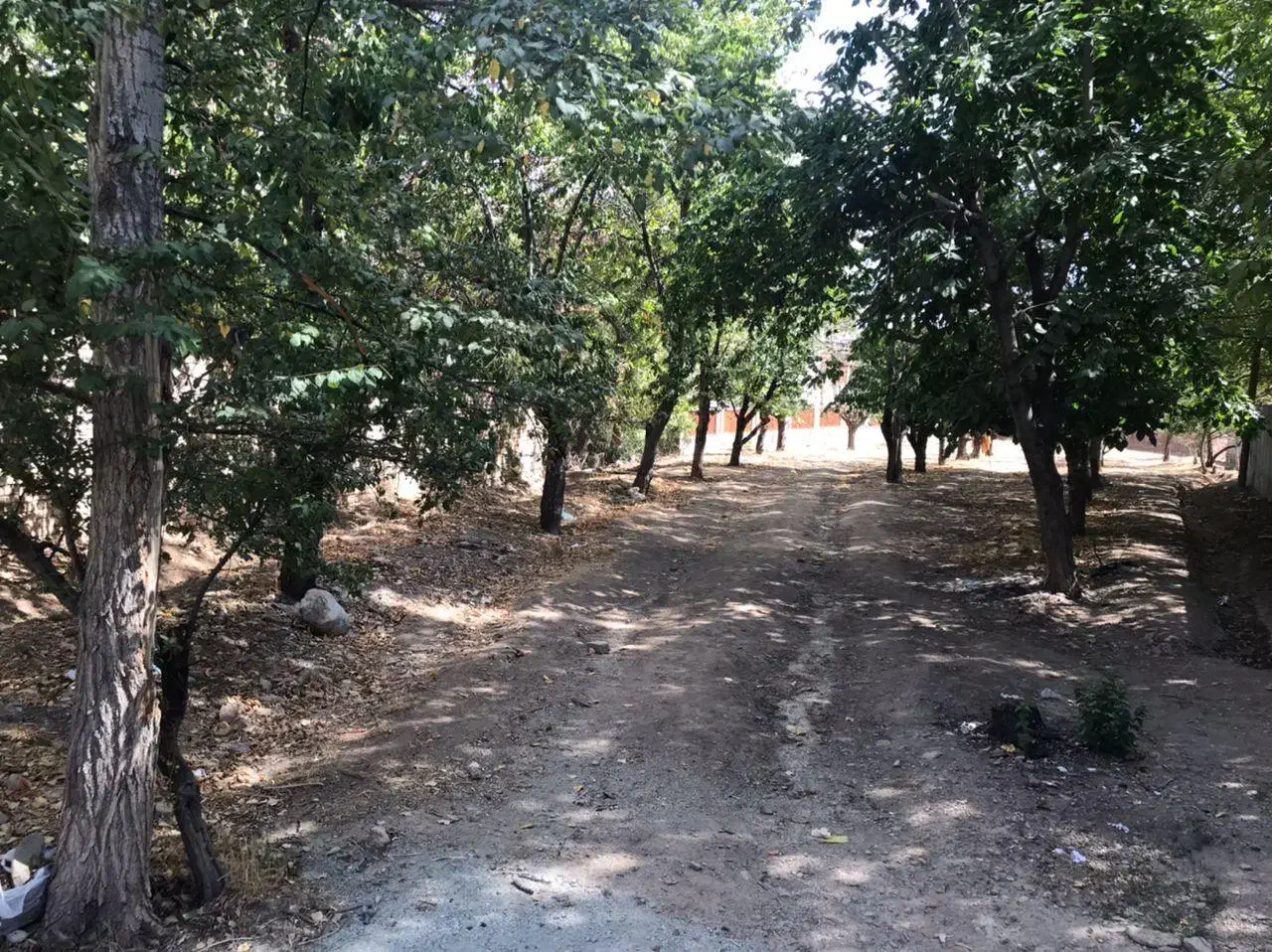 زمین ۱۲۰۰ متری احمد آباد دماوند|فروش زمین و ملک کلنگی|دماوند, دماوند|دیوار