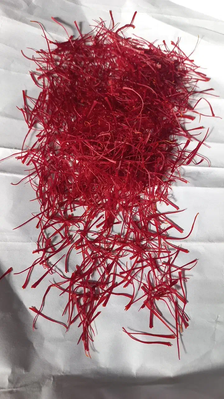 زعفران امسالی تمیز با دستگاه خشک شده|عمدهفروشی|مشهد, شهید احمدی روشن|دیوار