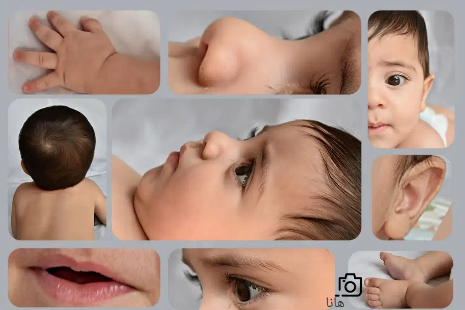 خدمات عکاسی و فیلمبرداری حرفه ای|خدمات پذیرایی، مراسم|کرج, گلشهر|دیوار