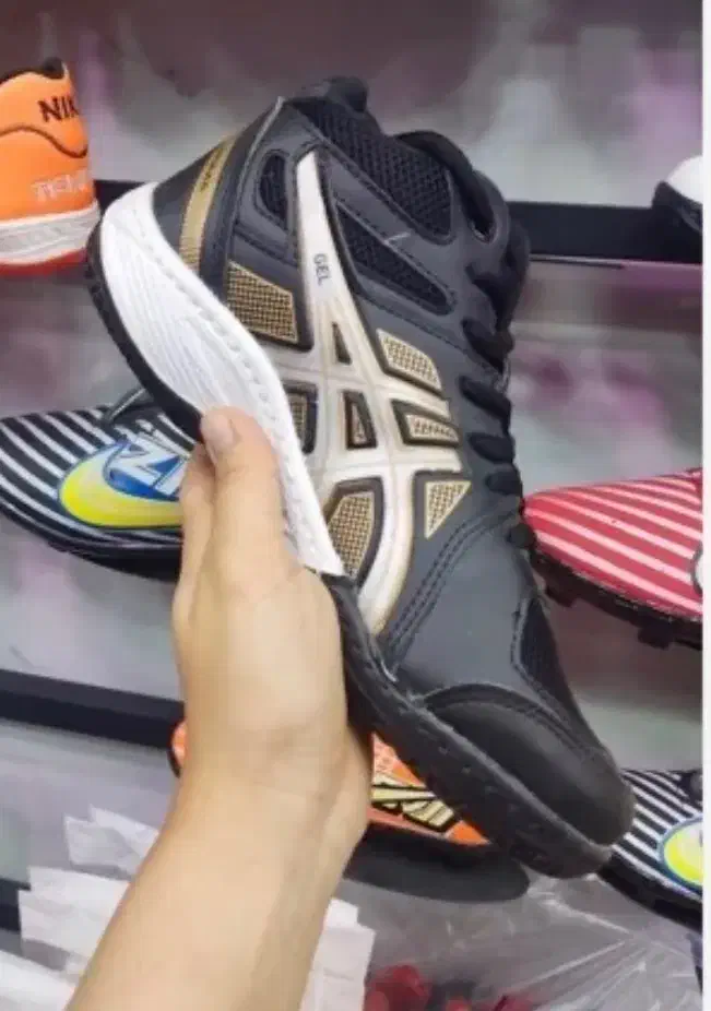 کفش والیبال|کیف، کفش، کمربند|شاهین دژ, |دیوار